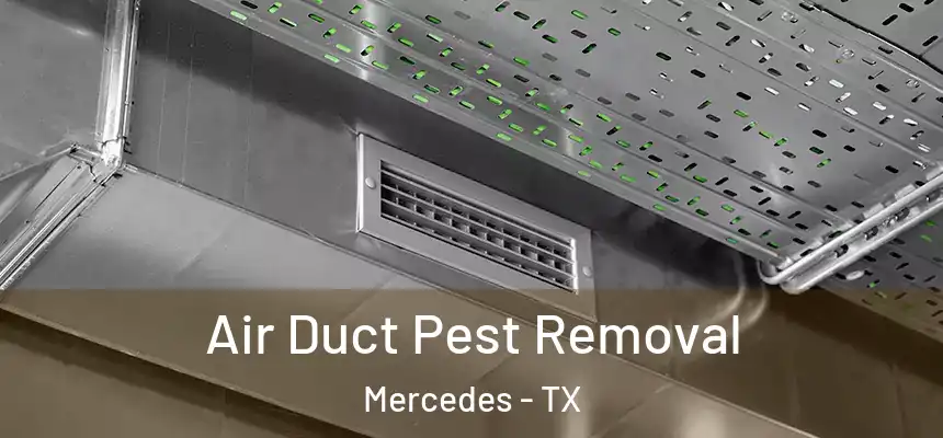  Air Duct Pest Removal Mercedes - TX
