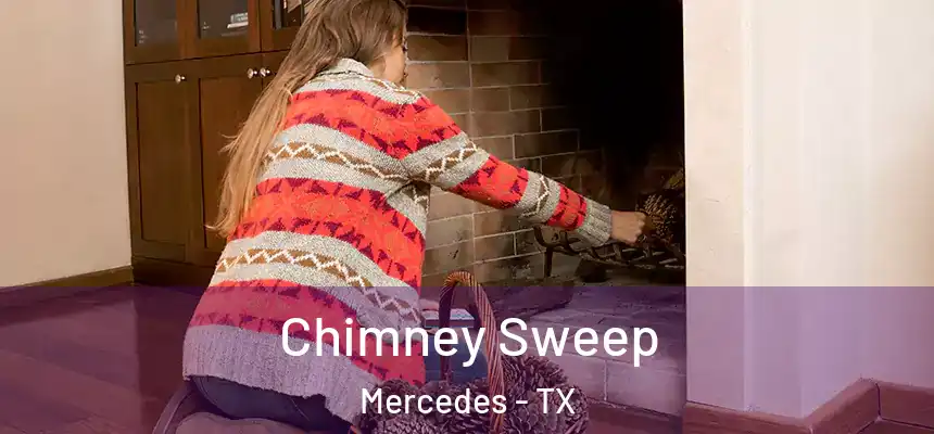  Chimney Sweep Mercedes - TX