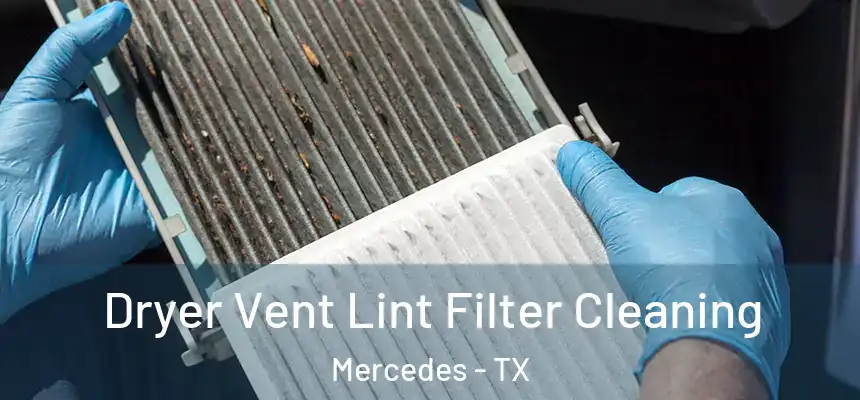  Dryer Vent Lint Filter Cleaning Mercedes - TX