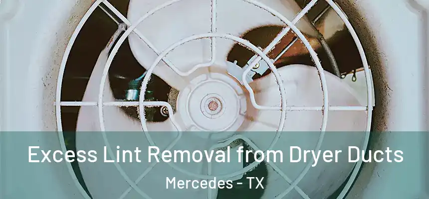  Excess Lint Removal from Dryer Ducts Mercedes - TX