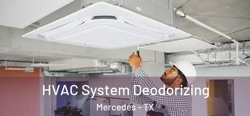 HVAC System Deodorizing Mercedes - TX