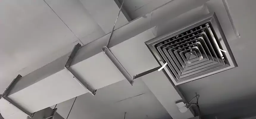 Our Pest Removal From Ducts Services in Mercedes, TX