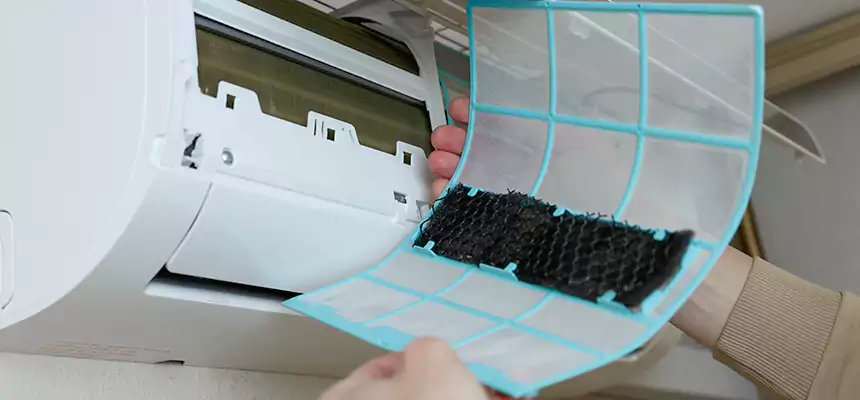 Gentle Ductwork Odor-Control Pet Dander Duct Cleaning in Mercedes, TX