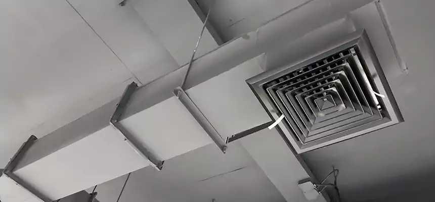 Our Rodent Droppings In Vents Services in Mercedes, TX