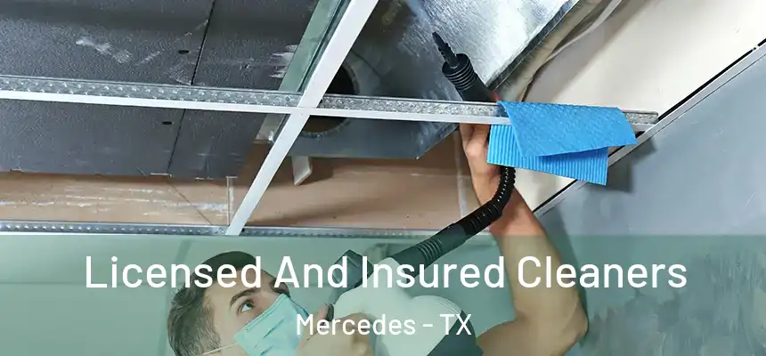  Licensed And Insured Cleaners Mercedes - TX