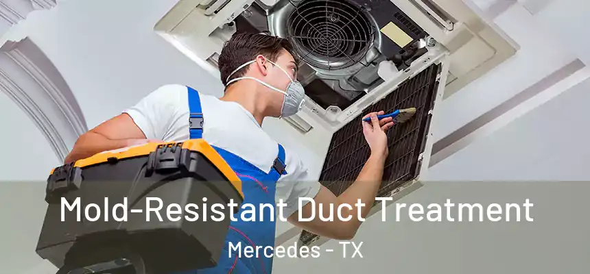  Mold-Resistant Duct Treatment Mercedes - TX