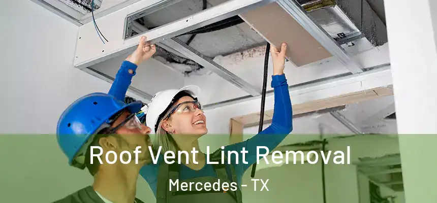  Roof Vent Lint Removal Mercedes - TX