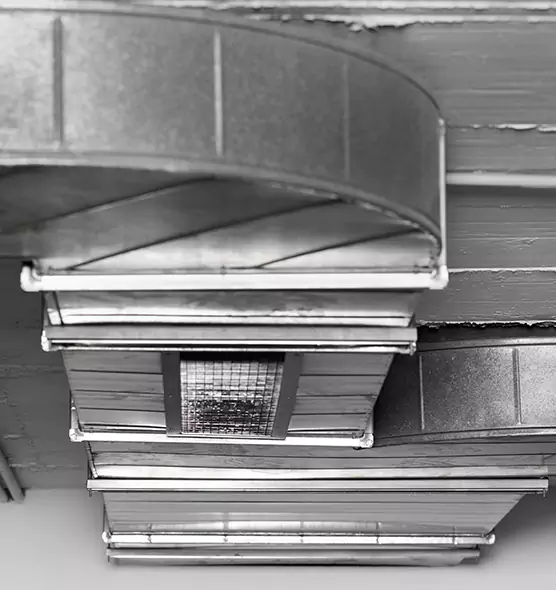 Professional Air Duct Pest Removal in Mercedes, TX