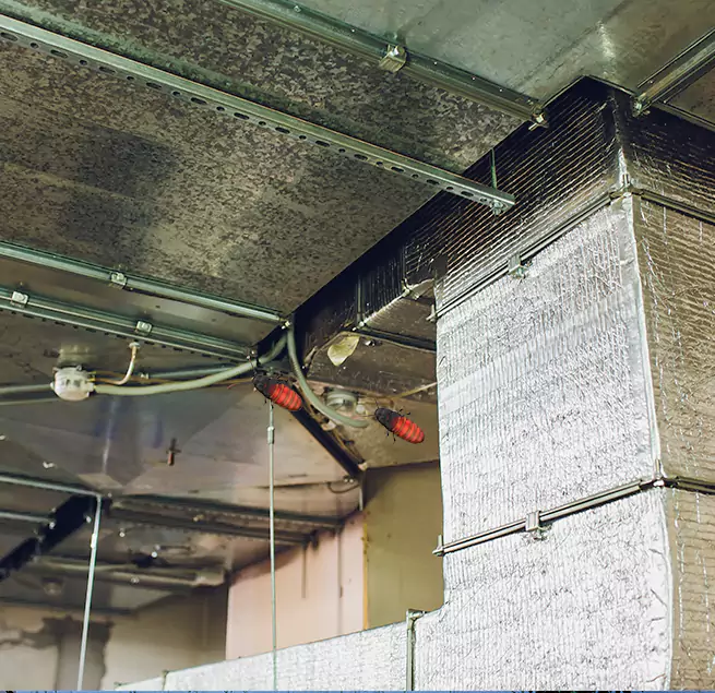 Why Homeowners & Businesses Trust Us in Mercedes, TX?