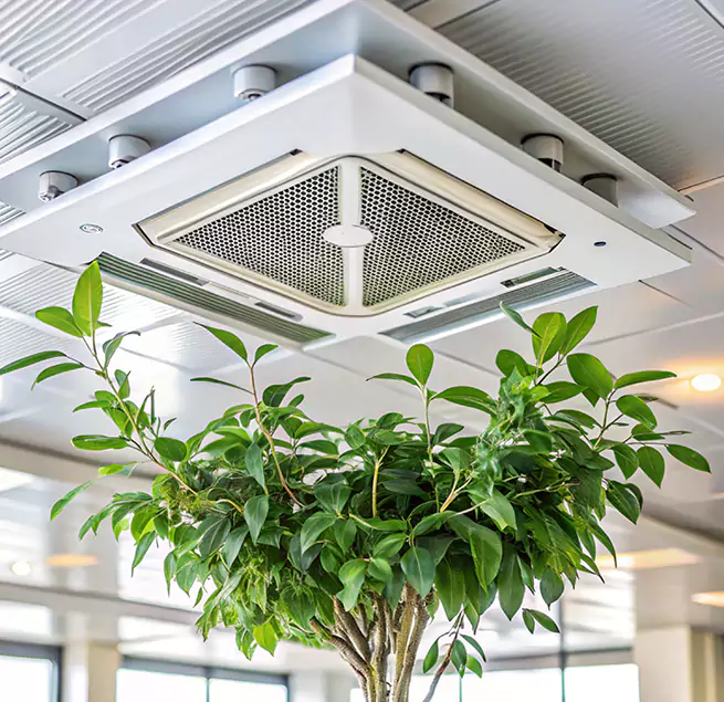 Why Homeowners & Businesses Trust Us in Mercedes, TX?